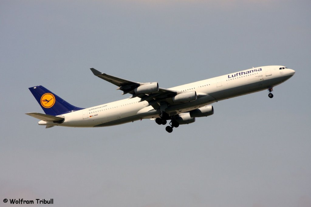 Ein Airbus A340-311 von LUFTHANSA mit der Kennung D-AIGD mit dem Taufnamen Remscheid aufgenommen am 22.05.2010 auf dem Flughafen Frankfurt am Main - Flugzeugdaten: 