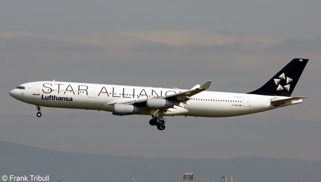 Ein Airbus A340-311 von der Lufthansa mit der Kennung D-AIGC in der Star Alliance Lackierung aufgenommen aufgenommen am 22.05.2010 auf dem Flughafen Frankfurt am Main 
