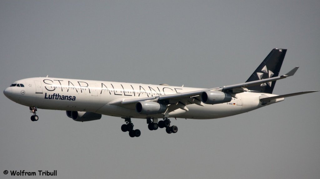 Ein Airbus A340-311 von LUFTHANSA mit der Kennung D-AIGC mit dem Taufnamen Wilhelmshaven und der Star Alliance Lackierung aufgenommen am 22.05.2010 auf dem Flughafen Frankfurt am Main - Flugzeugdaten: 