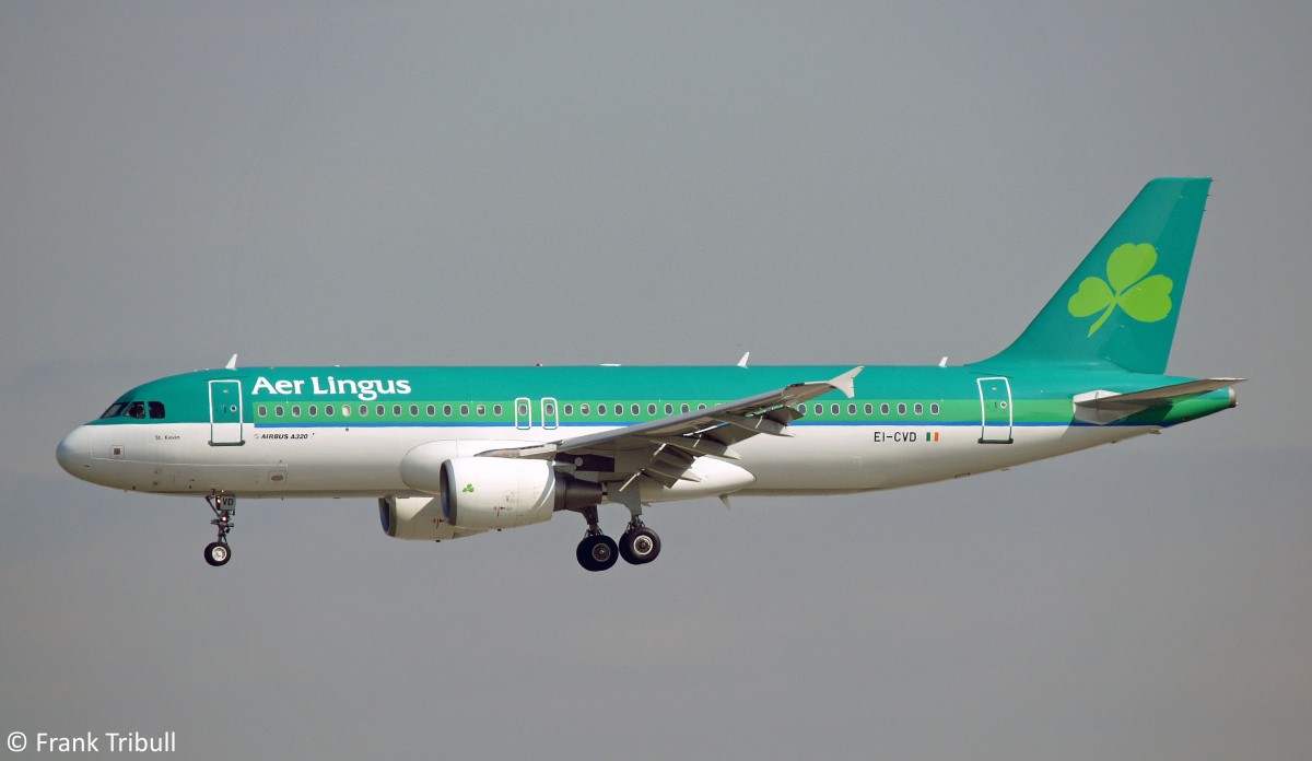 Ein Airbus A320-214 von Aer Lingus mit der Kennung EI-CVD aufgenommen am 22.05.2010 auf dem Flughafen Frankfurt am Main