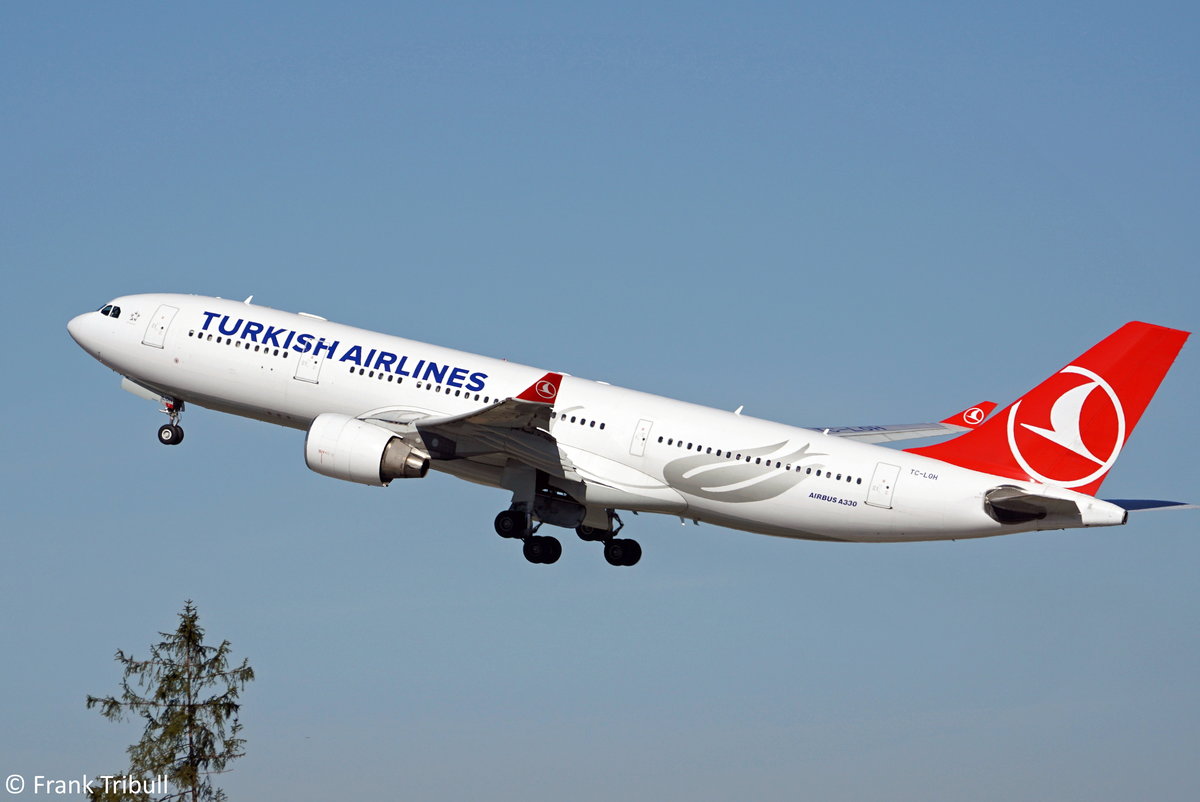 Ein Airbus A330-223 von Turkish Airlines mit der Kennung TC-LOH aufgenommen am 24.02.2019 auf dem Flughafen Zürich